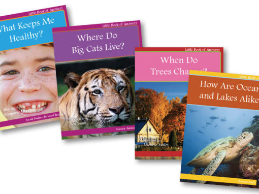 Little Book of Answers