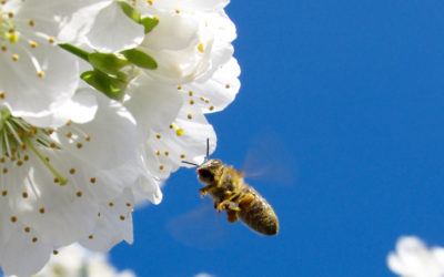 Why are microinteractions important?